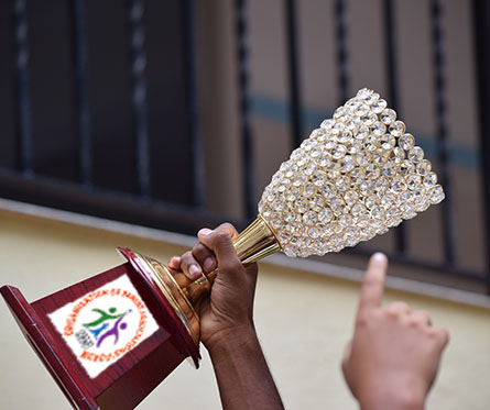 ></div>
                    <h5>OPAF RATNA AWARD 2018</h5>
                    <div class=
